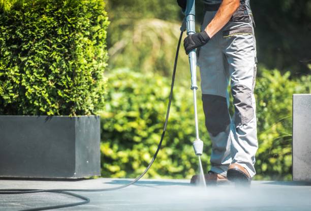 Best Roof Cleaning and Mildew Removal in Crosby, MN